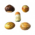 /products/sapori-del-bosco-caffarel/
